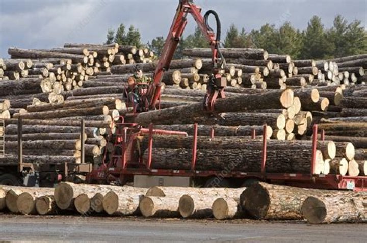 Do sawmills buy logs?