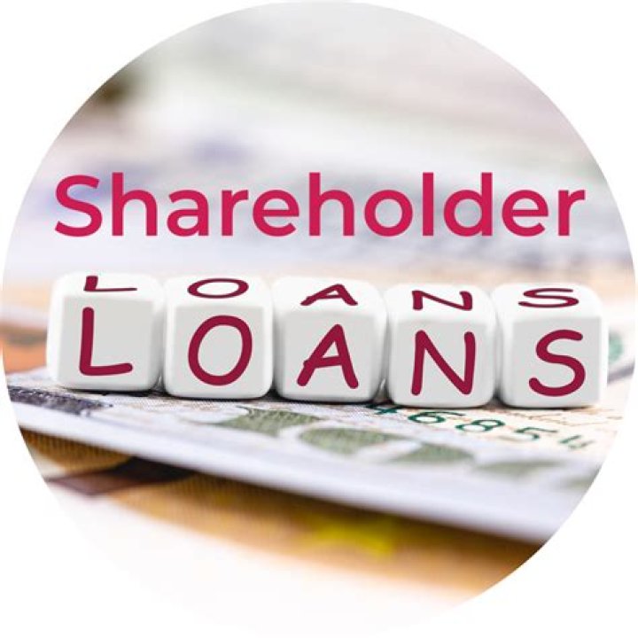 Do shareholder loans increase basis?