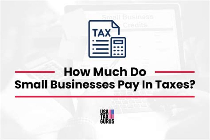 Do small businesses pay VAT on purchases?