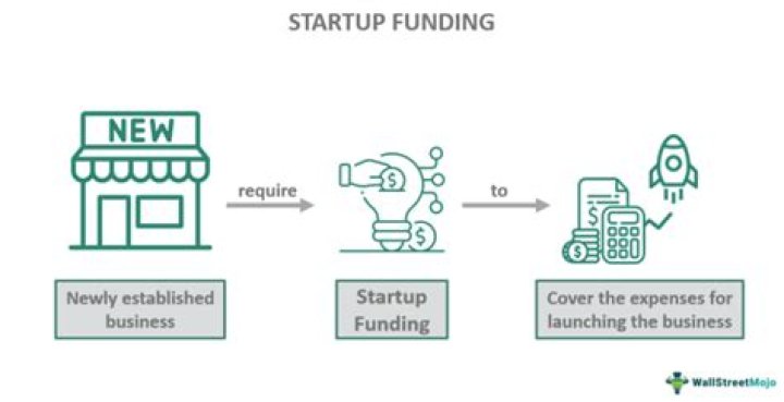Do startups use consultants?