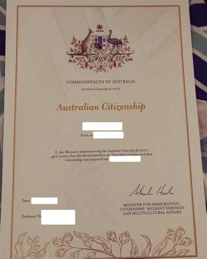 Do surrogate babies get US citizenship?