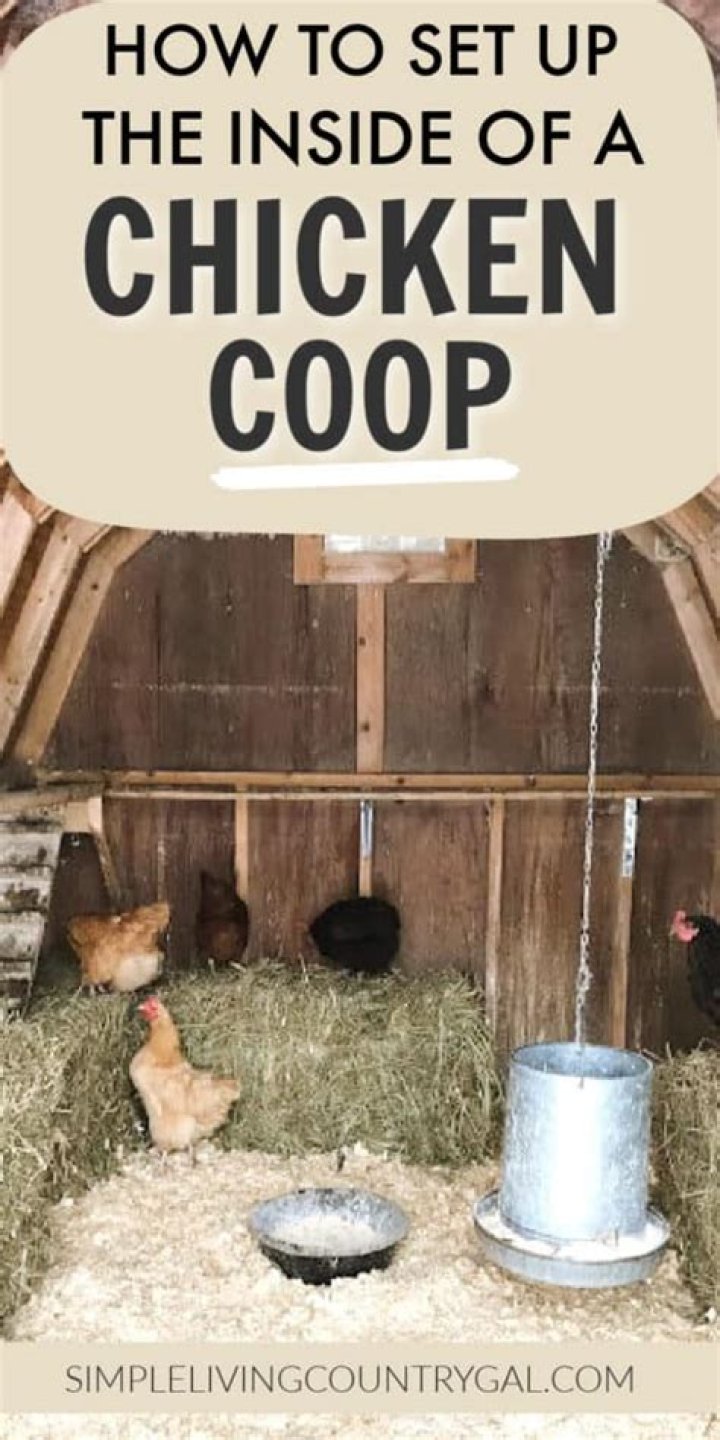 Do you keep water inside chicken coop?