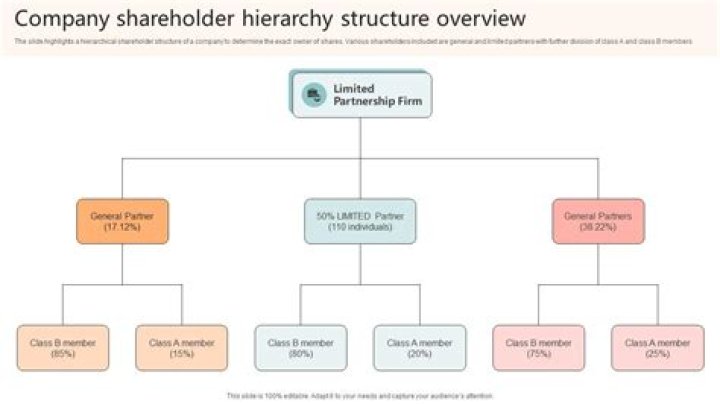 Does a company director have to be a shareholder?