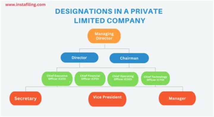Does a director own a limited company?