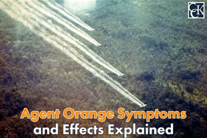 Does Agent Orange affect the lungs?