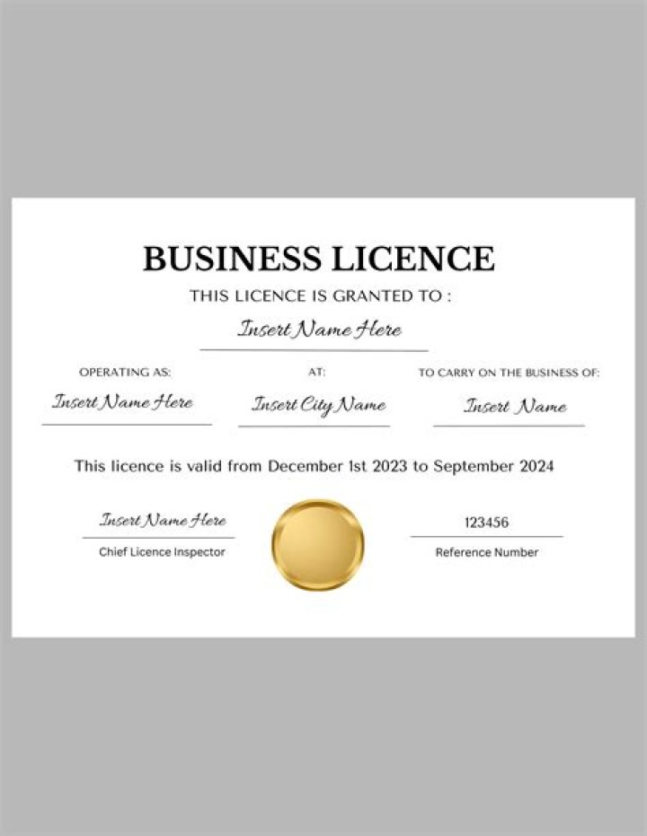 Does an LLC need a business license in Illinois?