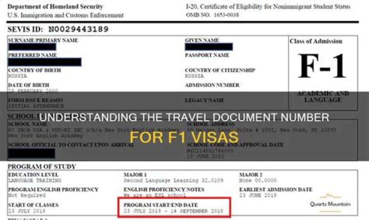 Does F1 visa have work authorization?