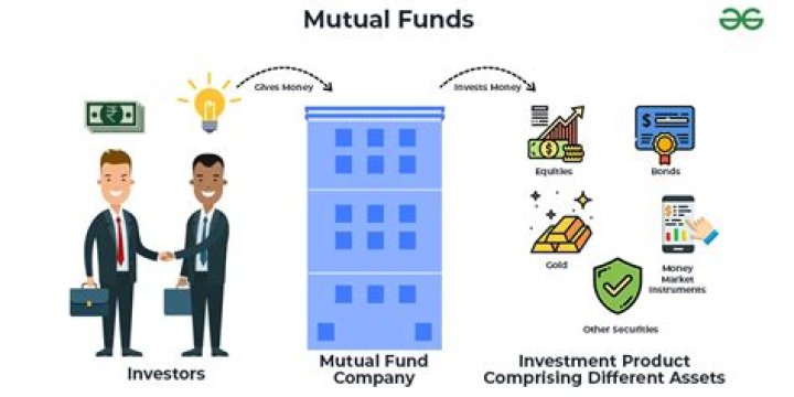 Does mutual fund accept cash?