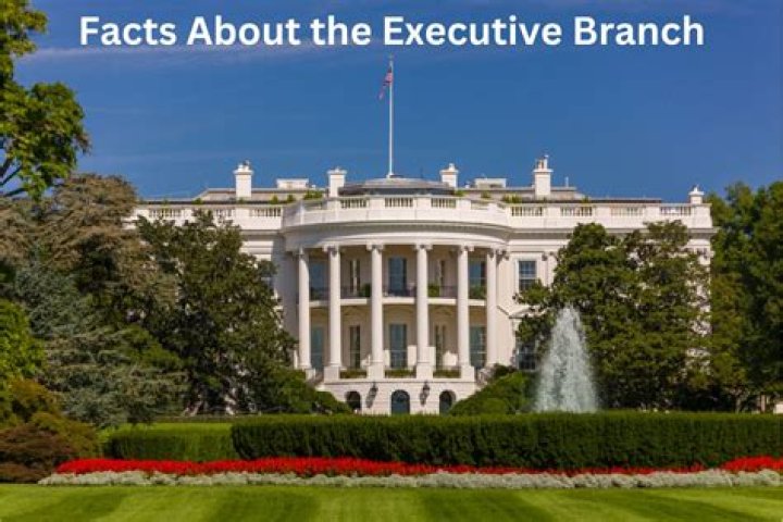 Does the executive branch propose new taxes?