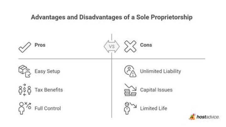 Does the owner keep all the profits in a sole proprietorship?