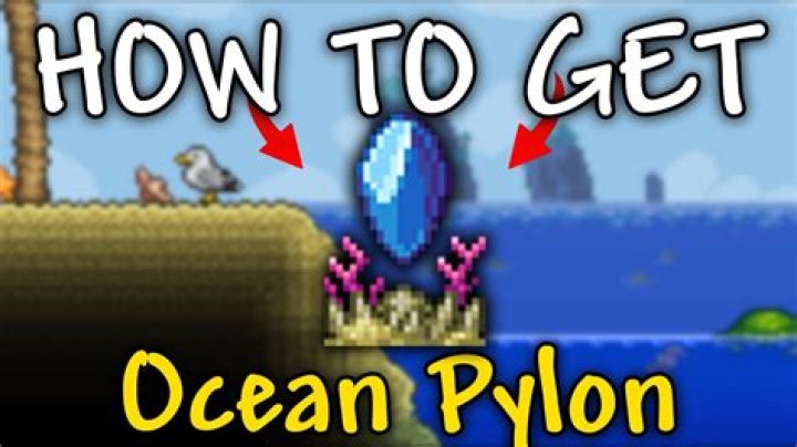Does the stylist sell the ocean pylon?