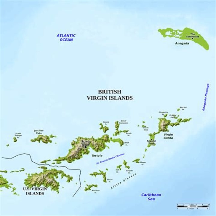 Does the United States have a tax treaty with the British Virgin Islands?