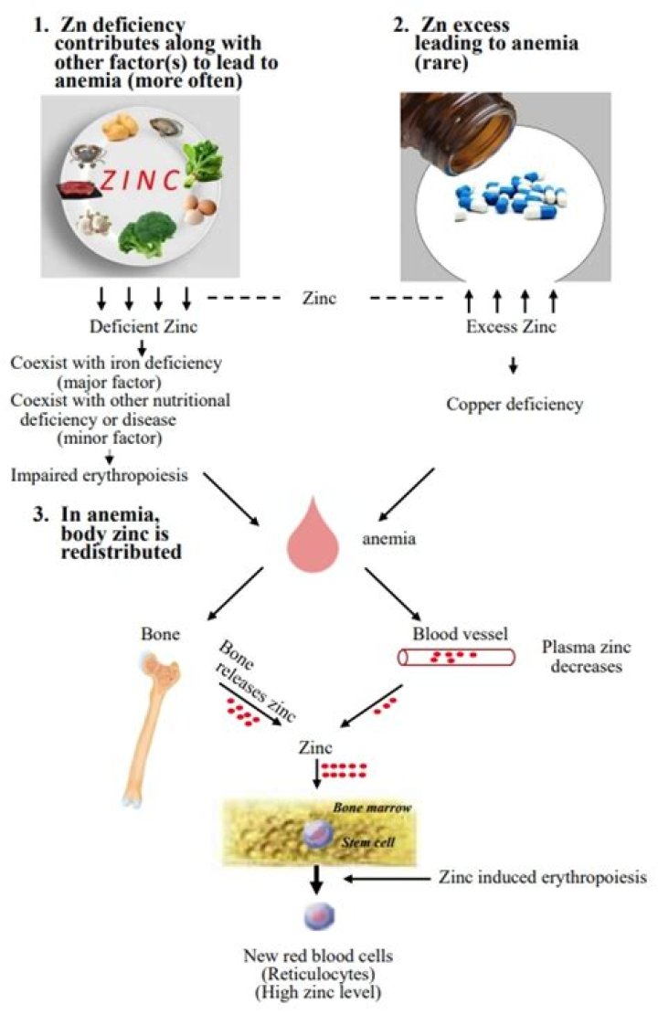 Does zinc cause bleeding?