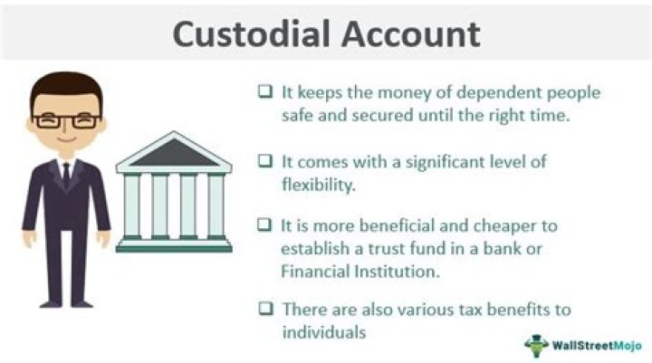 How are custodial accounts titled?