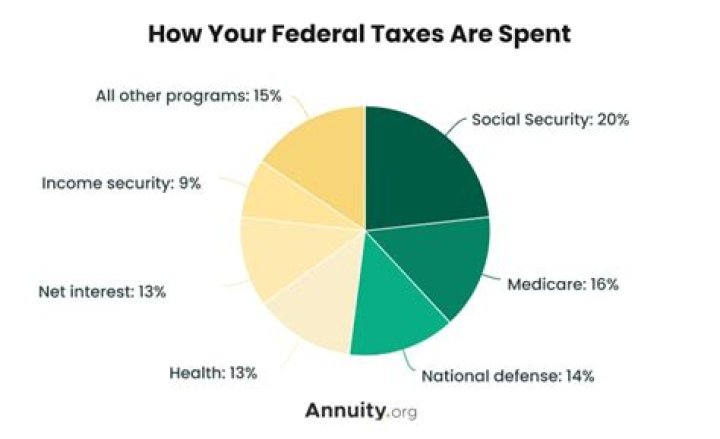 How are local taxes spent?