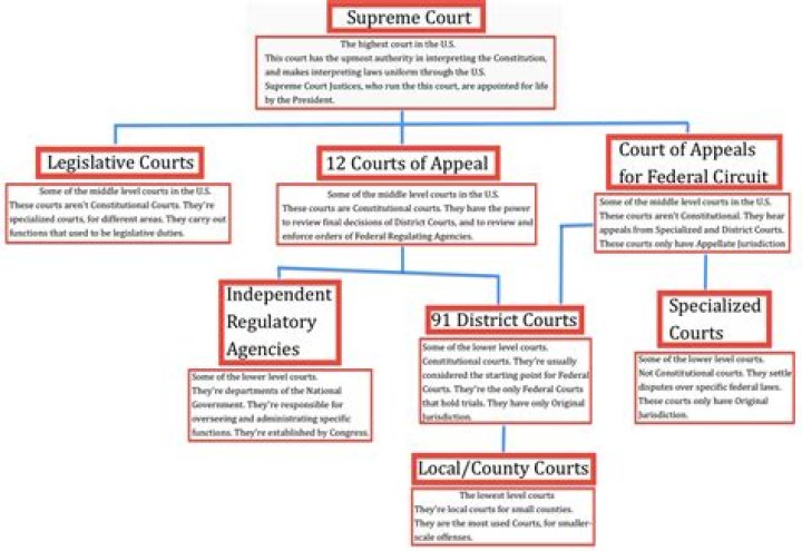 How are the US courts arranged?