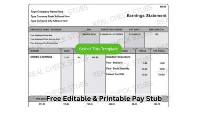 How can I make my own check stubs for free?