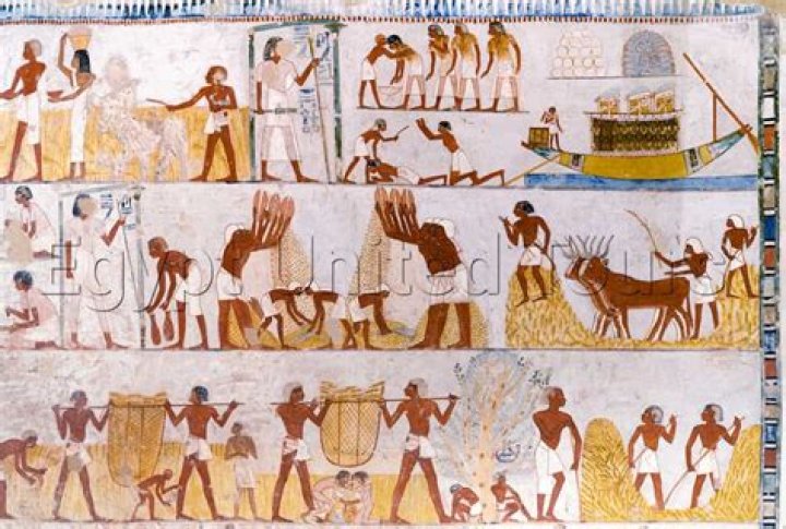 How did ancient Egyptians collect taxes?