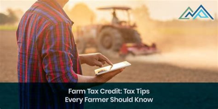 How did farmers pay taxes?