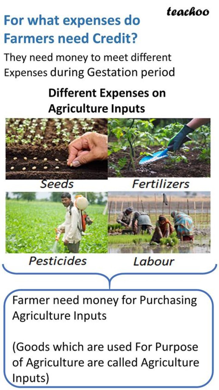 How do farmers borrow money?