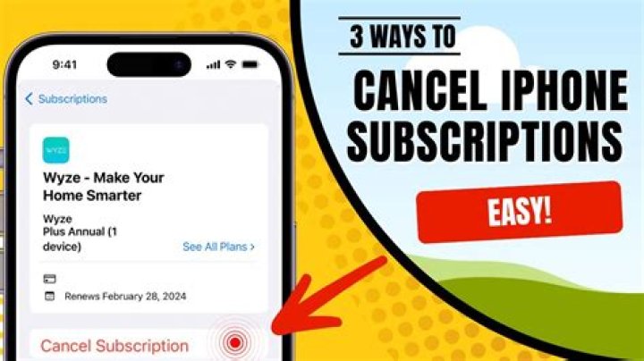 How do I cancel my wish subscription?