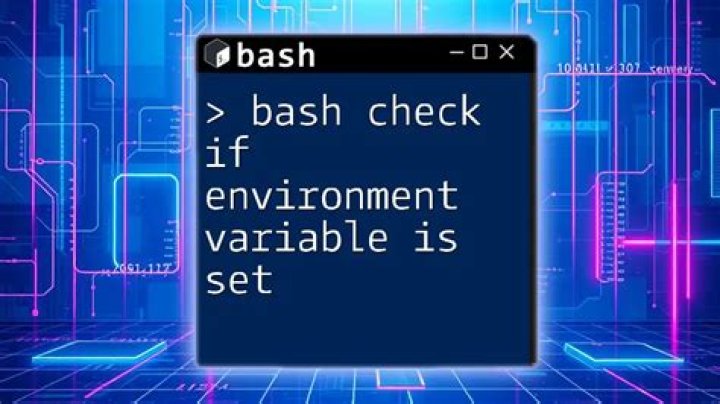 How do I check if an environment variable is set in Unix?