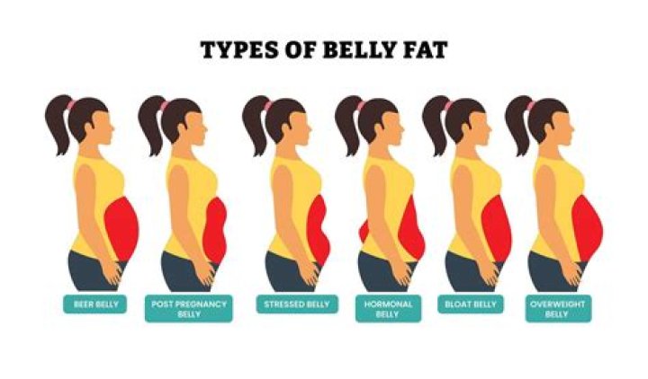 How do I know if I have belly fat or water?