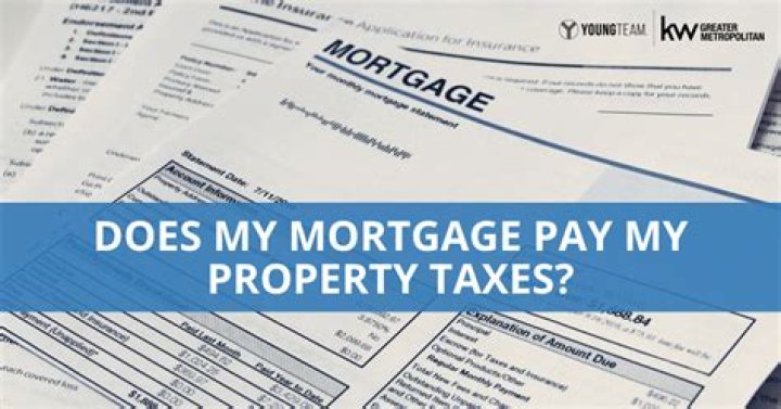 How do I pay my property taxes in Winnipeg?