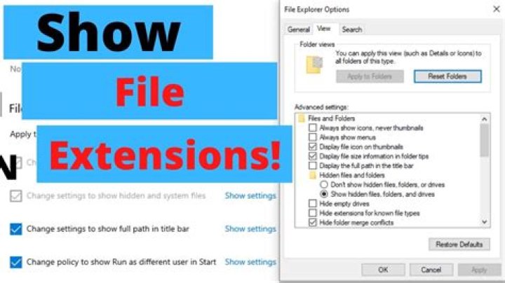 How do I show file extensions in Windows 2008?