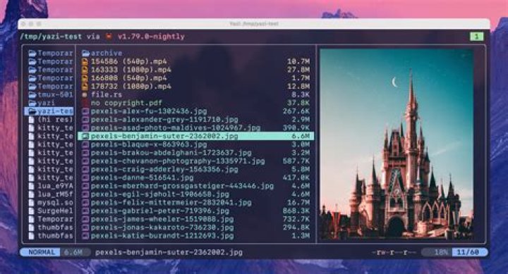 How do I use File Manager in RetroPie?
