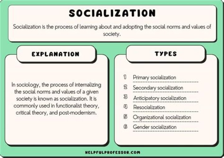 How do you define socialization?