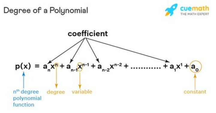 How do you find the degree of the polynomial?