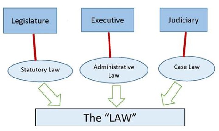 How do you find the law of a case?