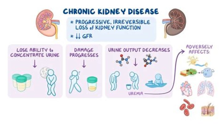How do you get kidney disease?
