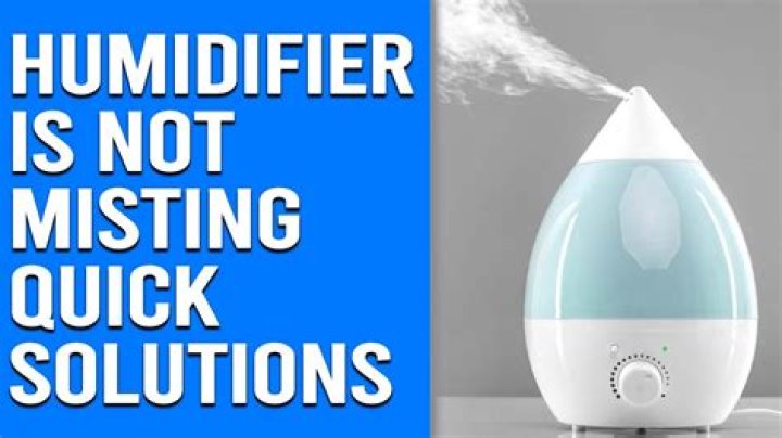 How do you know if humidifier has mold?