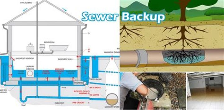 How do you know if you have a sewer line backup?