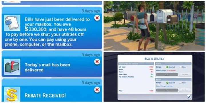 How do you pay bills on Sims 3 DS?
