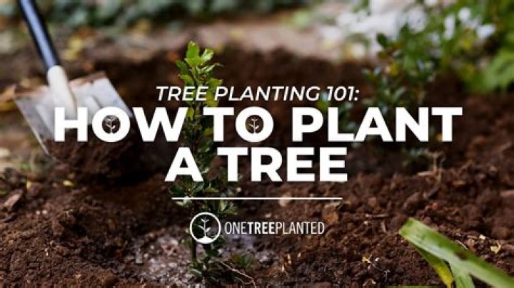 How do you plant a tree for every product sold?