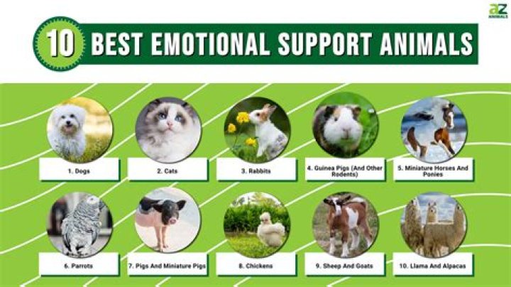 How do you qualify for an Emotional Support Animal?