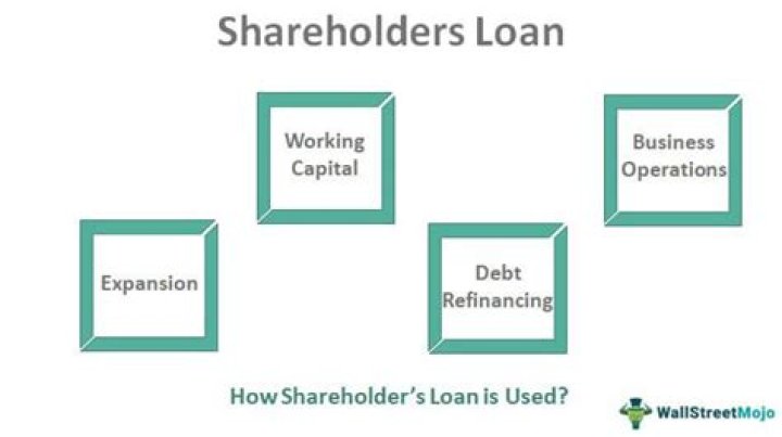 How do you record shareholders loans?