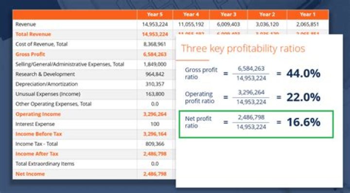 How do you report net profit?