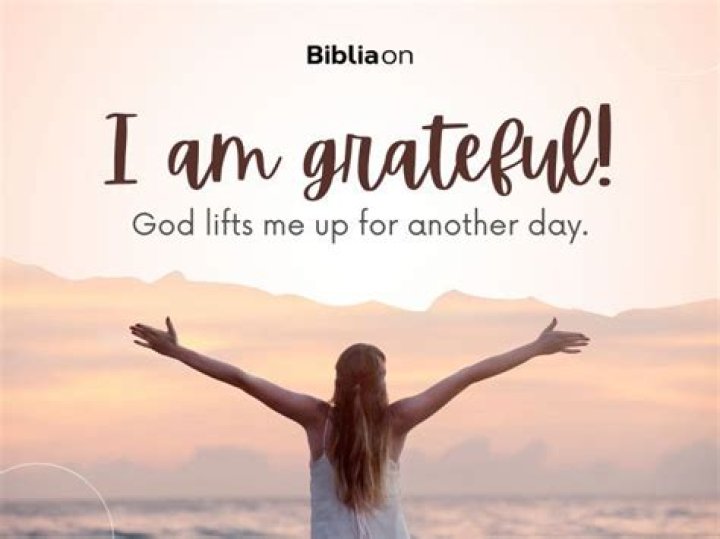 How do you say I am grateful for your help?