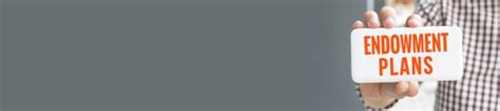 How do you surrender an endowment plan?