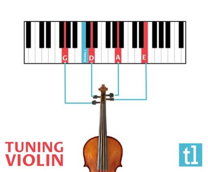 How does a musician play a violin?