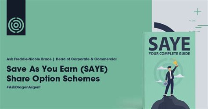 How does a Saye scheme work?