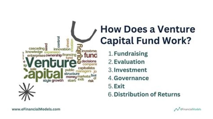 How does a venture capital fund work?