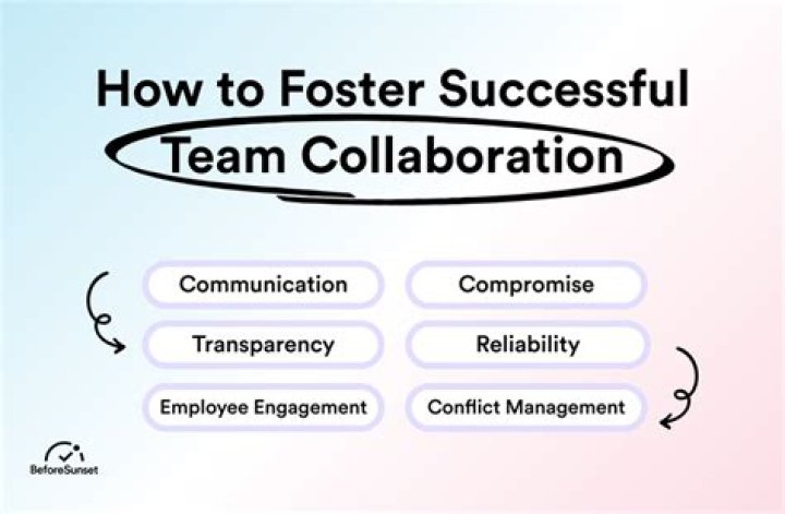 How does the foster process work?