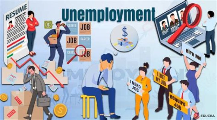 How does unemployment work for employers in TN?