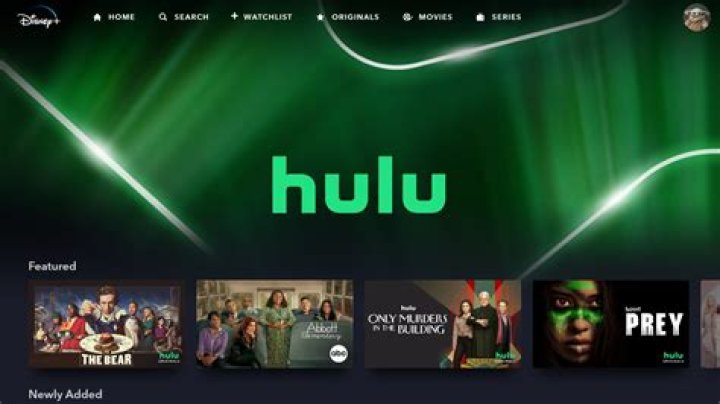 How is Disney Plus doing?