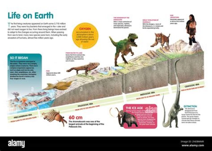 How is life on earth possible?